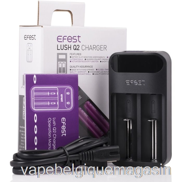 Vape Jetable Efest Lush Q2 Chargeur De Batterie Intelligent à 2 Baies