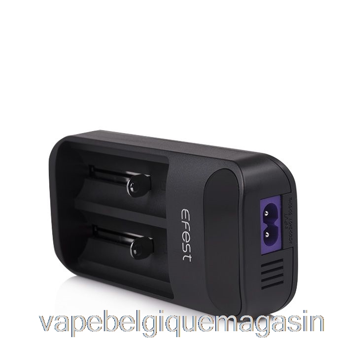 Vape Jetable Efest Lush Q2 Chargeur De Batterie Intelligent à 2 Baies