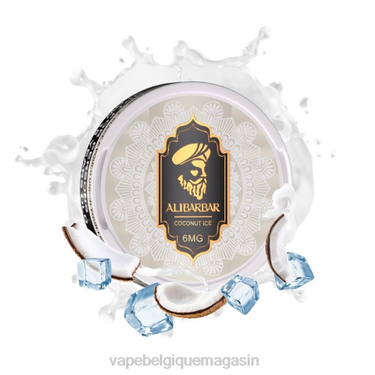Vape Jetable - Alibarbar sachets de nicotine glace à la noix de coco L8DN83