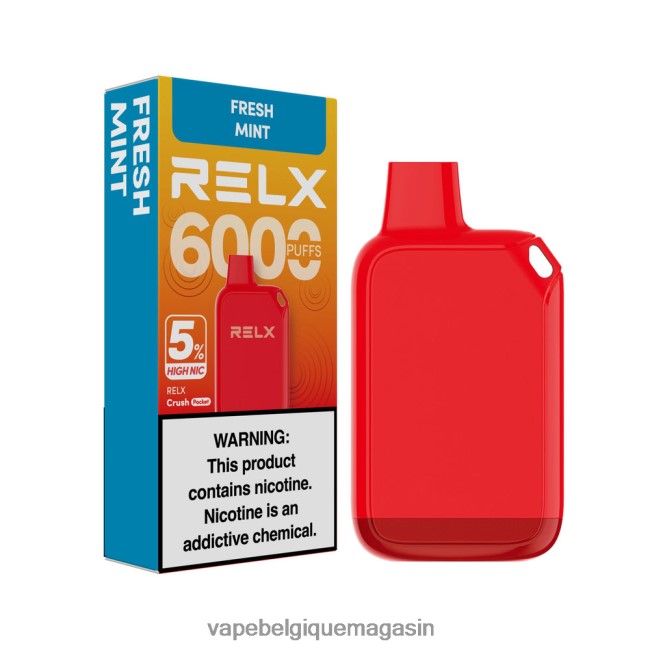 Vape Juice - RELX Crush Pocket 6000 5 % de nic élevé menthe fraîche BLBXJX29