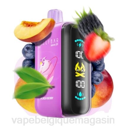 Vape Belgique - Elf Bar Raya D3 25000 jetable PRN21