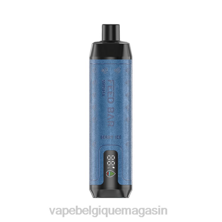 Vape Jetable - Vapsolo SHISHA vape jetable glace aux baies L8DN113