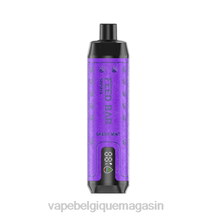 Vape Jetable - Vapsolo SHISHA vape jetable menthe raisin L8DN118