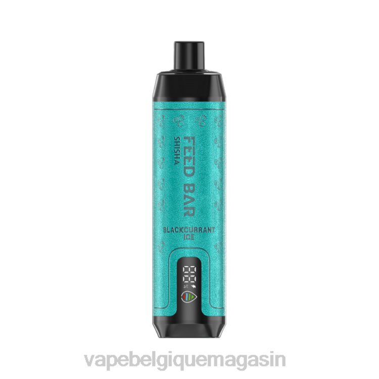 Vape Juice - Vapsolo SHISHA vape jetable glace au cassis L8DN114
