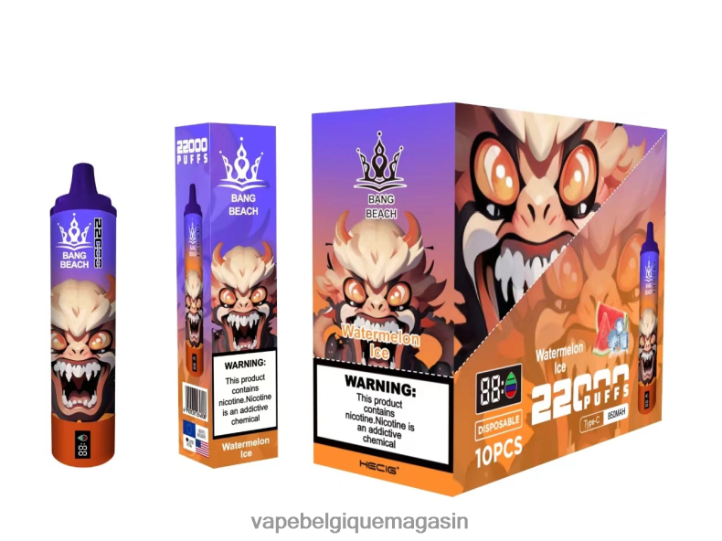 Vape Shop Bruxelles - Bang Beach Écran intelligent de 22 000 bouffées glace à la pastèque 4V64F822