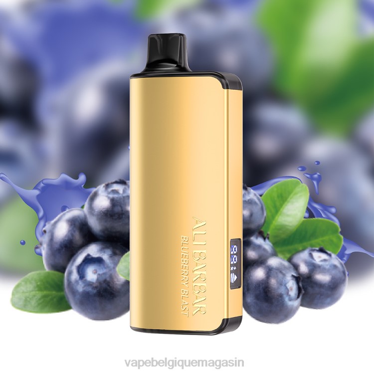 Eliquide Belgique - Alibarbar Ingot 9000 vapes jetables glace aux raisins L8DN20