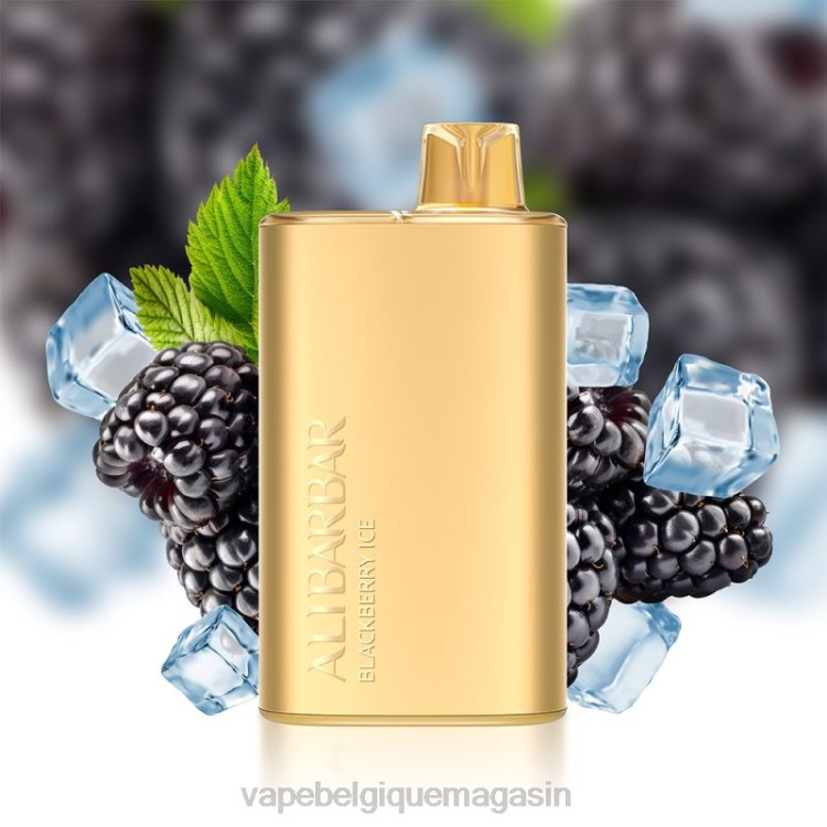 Eliquide Belgique - Alibarbar Rich 8000 vapes jetables glace aux mûres L8DN10