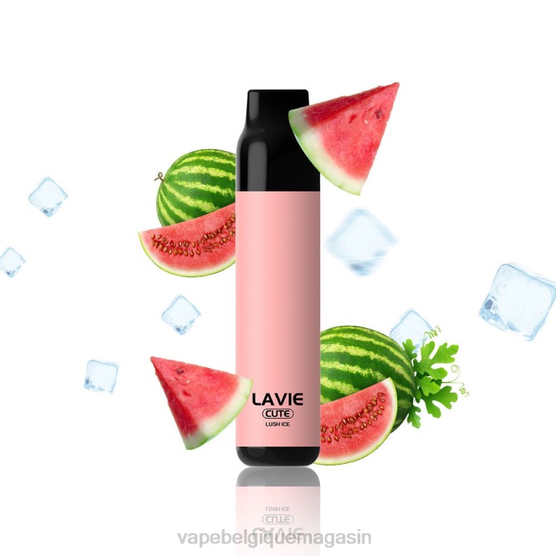Eliquide Belgique - LAVIE BAR 3000 bouffées glace luxuriante D2F2285