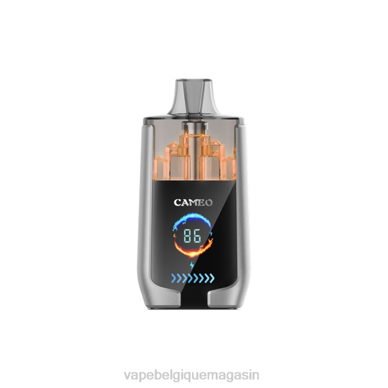 Eliquide Belgique - LAVIE CAMEO 30000 bouffées glace aux myrtilles D2F215