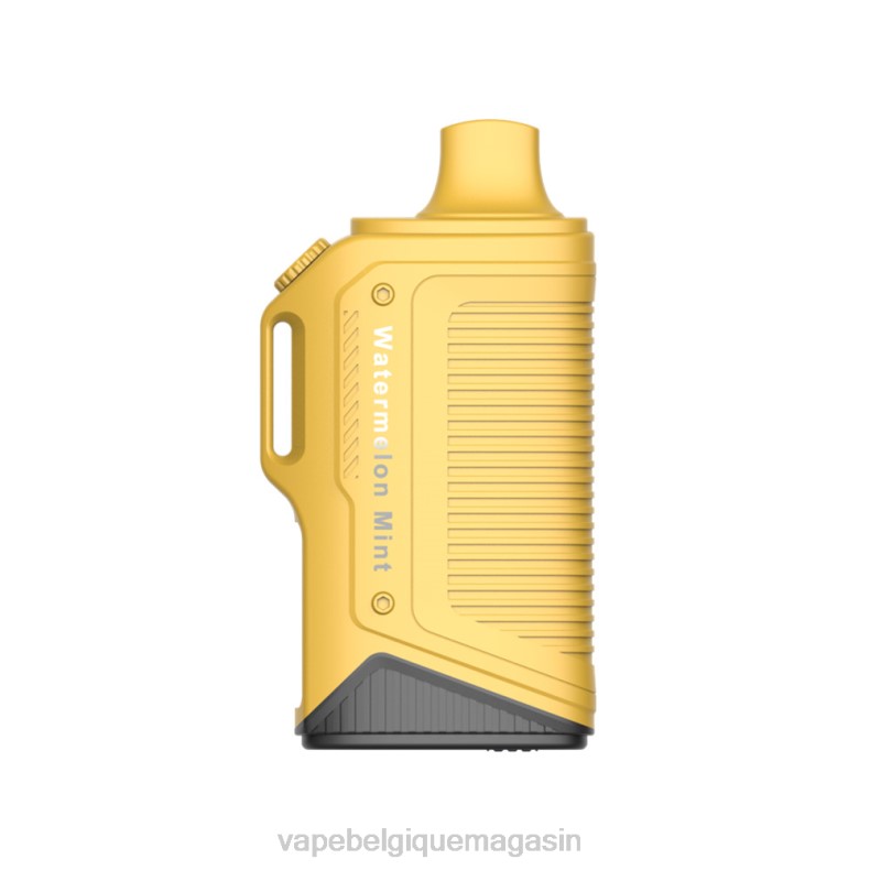 Eliquide Belgique - LAVIE Energy Box 15000 bouffées menthe pastèque D2F270