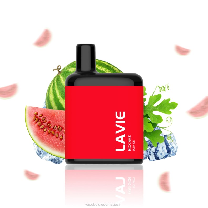 Vape Belgique - LAVIE BOX 3500 bouffées glace luxuriante D2F2211
