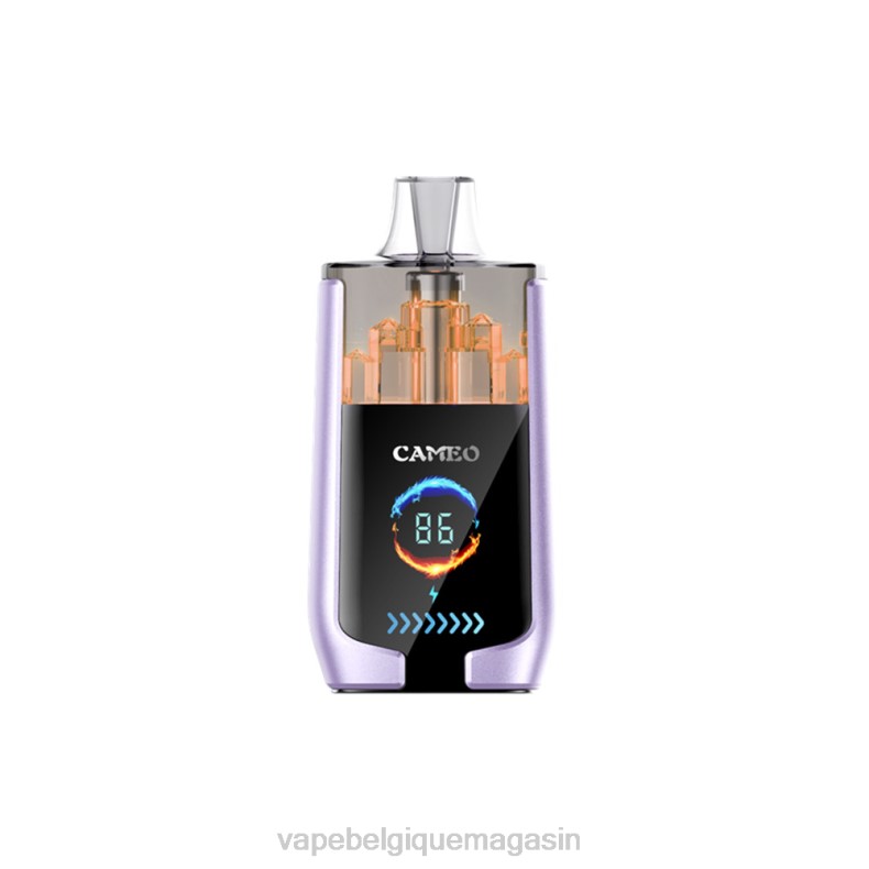 Vape Belgique - LAVIE CAMEO 30000 bouffées glace aux raisins D2F216