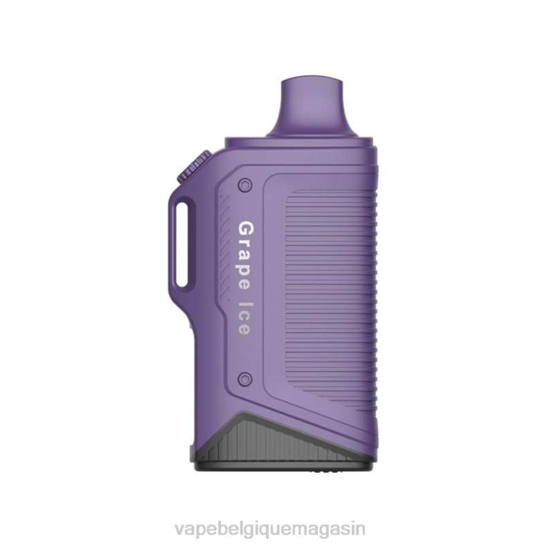 Vape Belgique - LAVIE Energy Box 15000 bouffées glace aux raisins D2F276