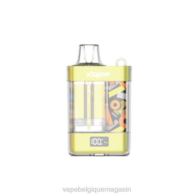 Vape Belgique - LAVIE VIGOR 15000 bouffées litchi pastèque D2F211