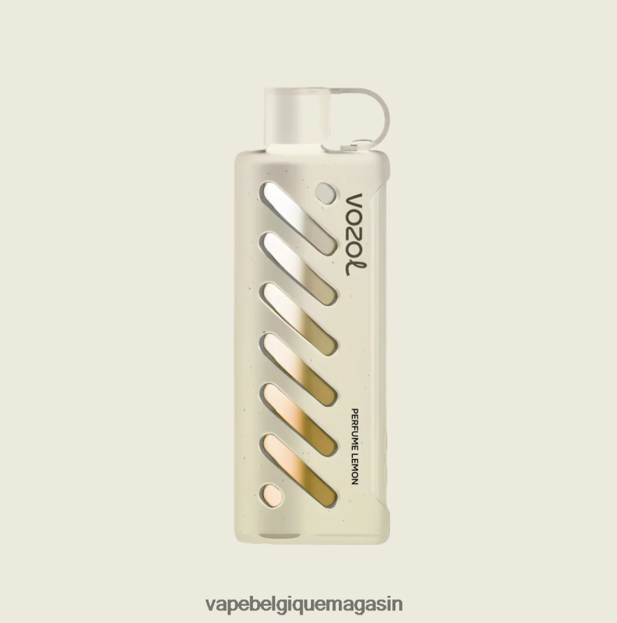 Vape Belgique - VOZOL engrenage chicha 25000 8T40X21