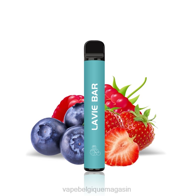 Vape Jetable - LAVIE BAR Version 2% 800 bouffées mélanger les baies D2F2323
