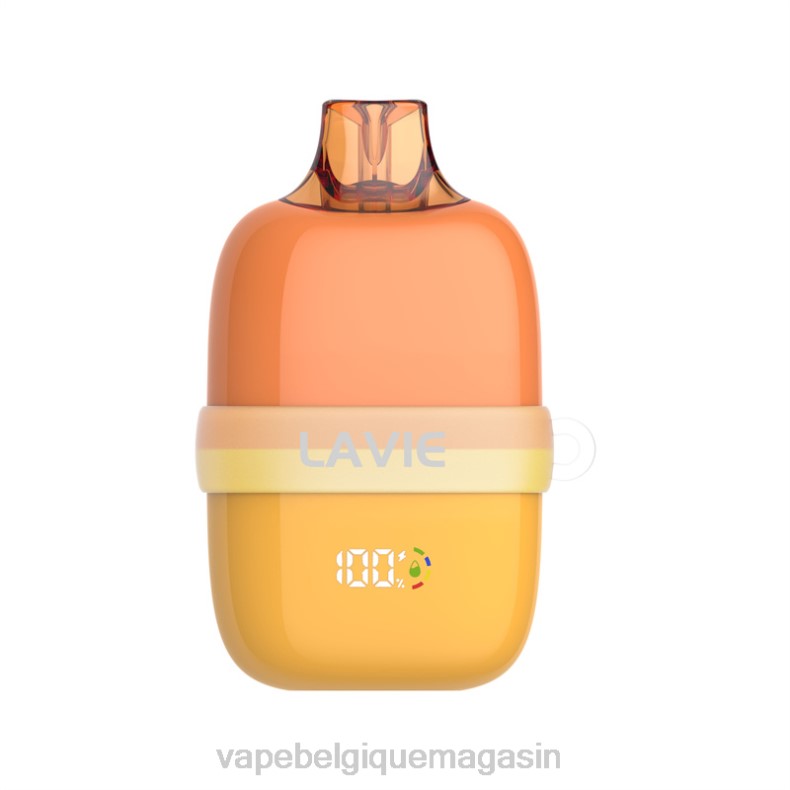Vape Jetable - LAVIE INSIDER 12000 bouffées glace à la mangue D2F283