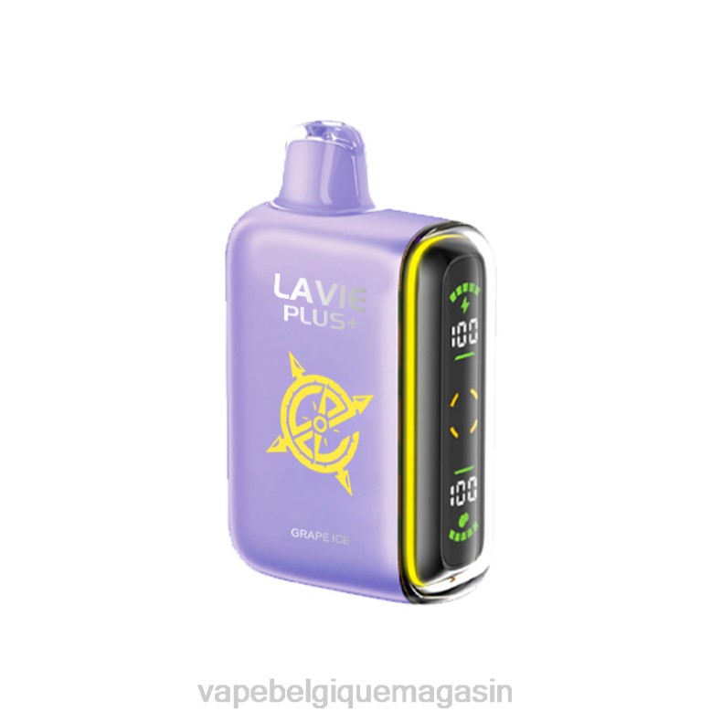 Vape Jetable - LAVIE PLUS 15000 bouffées glace aux raisins D2F2103