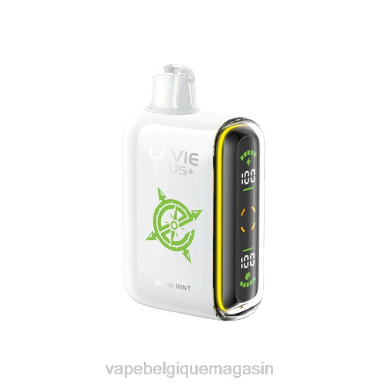 Vape Jetable - LAVIE PLUS 15000 bouffées menthe de Miami D2F298