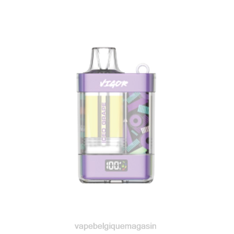 Vape Jetable - LAVIE VIGOR 15000 bouffées raisin glacé D2F28
