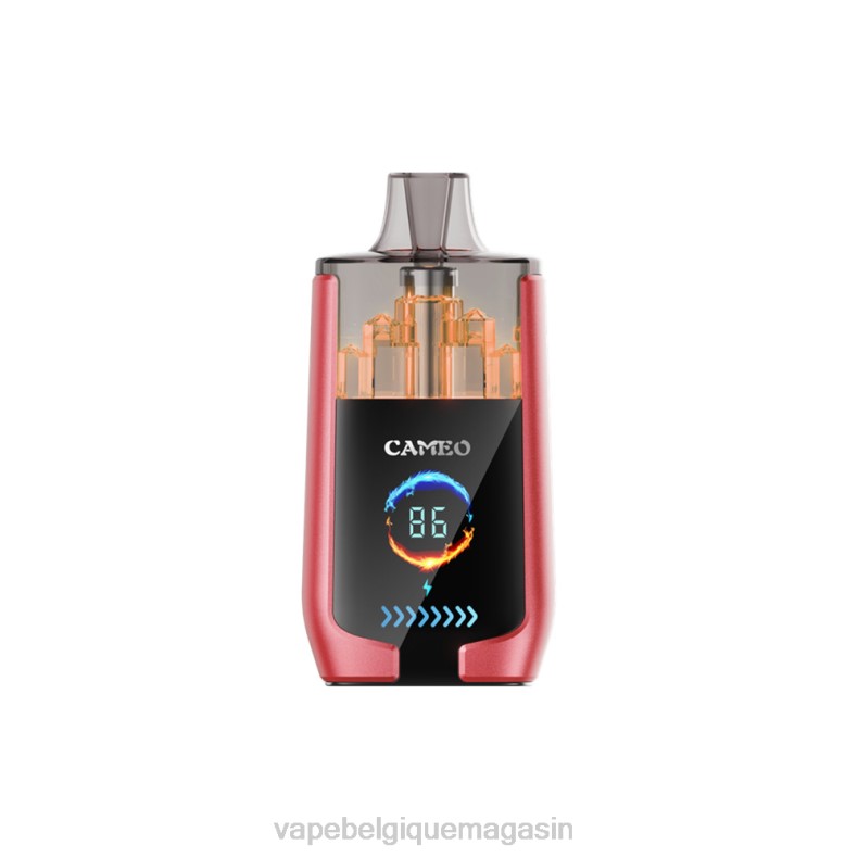 Vape Juice - LAVIE CAMEO 30000 bouffées glace à la pastèque D2F214