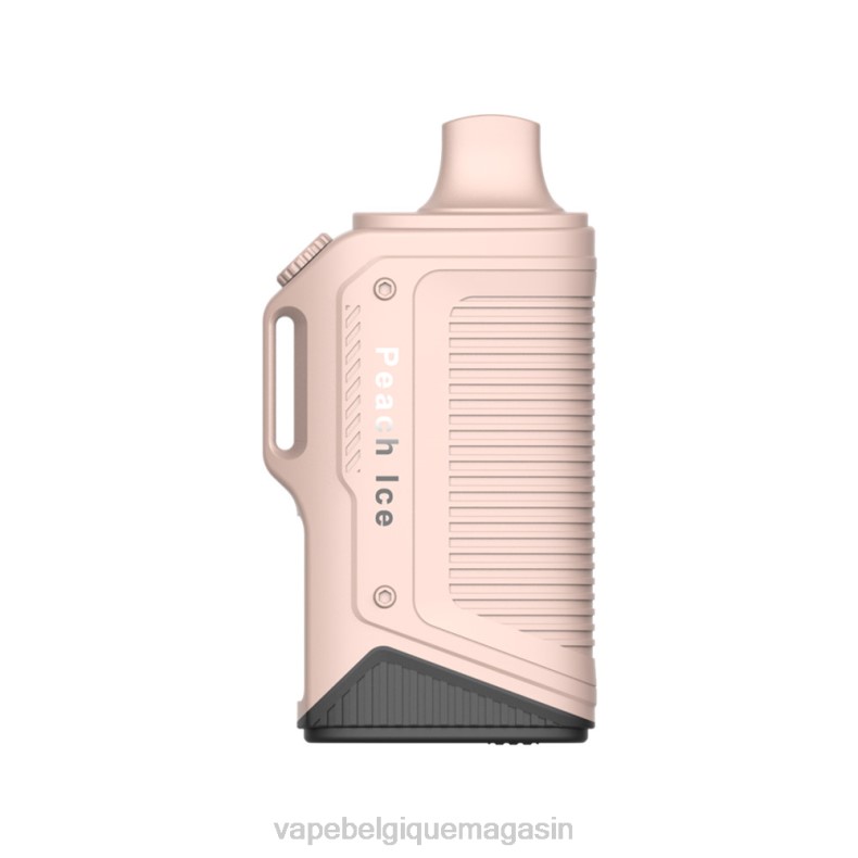Vape Juice - LAVIE Energy Box 15000 bouffées glace à la pêche D2F279