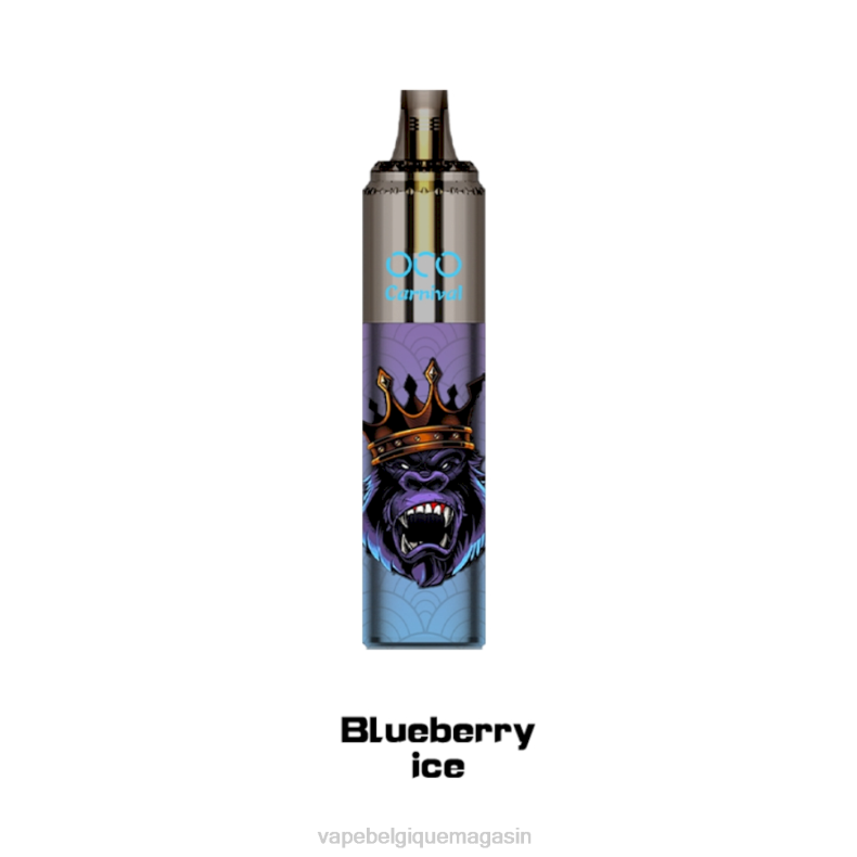 Vape Juice - LAVIE OCO carnaval 10000 bouffées glace aux myrtilles D2F2349