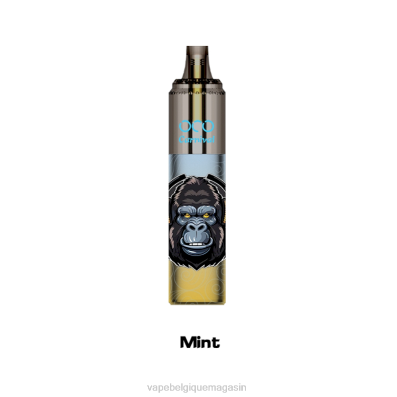 Vape Juice - LAVIE OCO carnaval 10000 bouffées menthe D2F2354