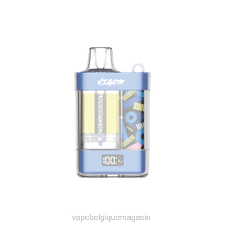 Vape Juice - LAVIE VIGOR 15000 bouffées cassis D2F29