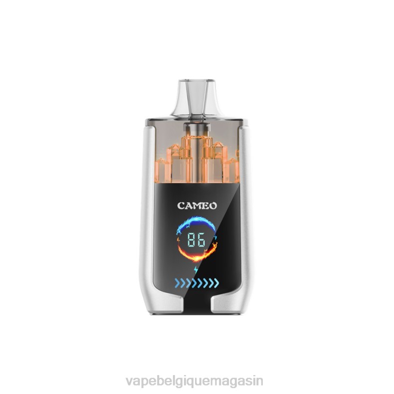 Vape Shop Bruxelles - LAVIE CAMEO 30000 bouffées glace à la poire D2F217