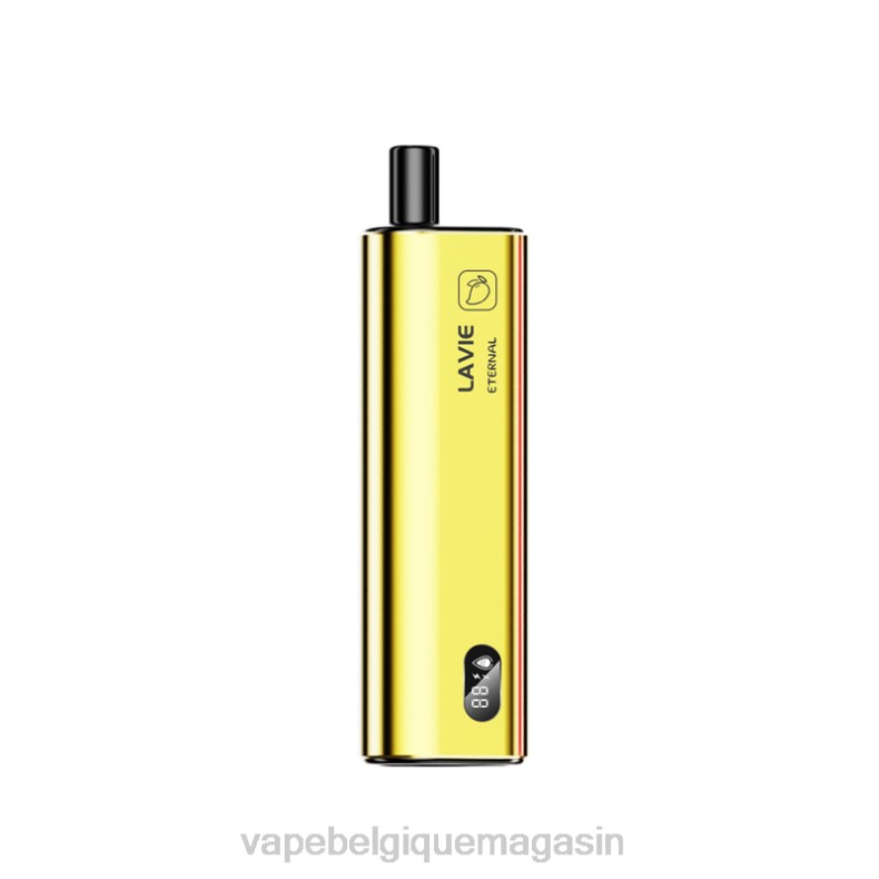 Vape Shop Bruxelles - LAVIE ETERNAL 10000 bouffées glace à la mangue D2F2122