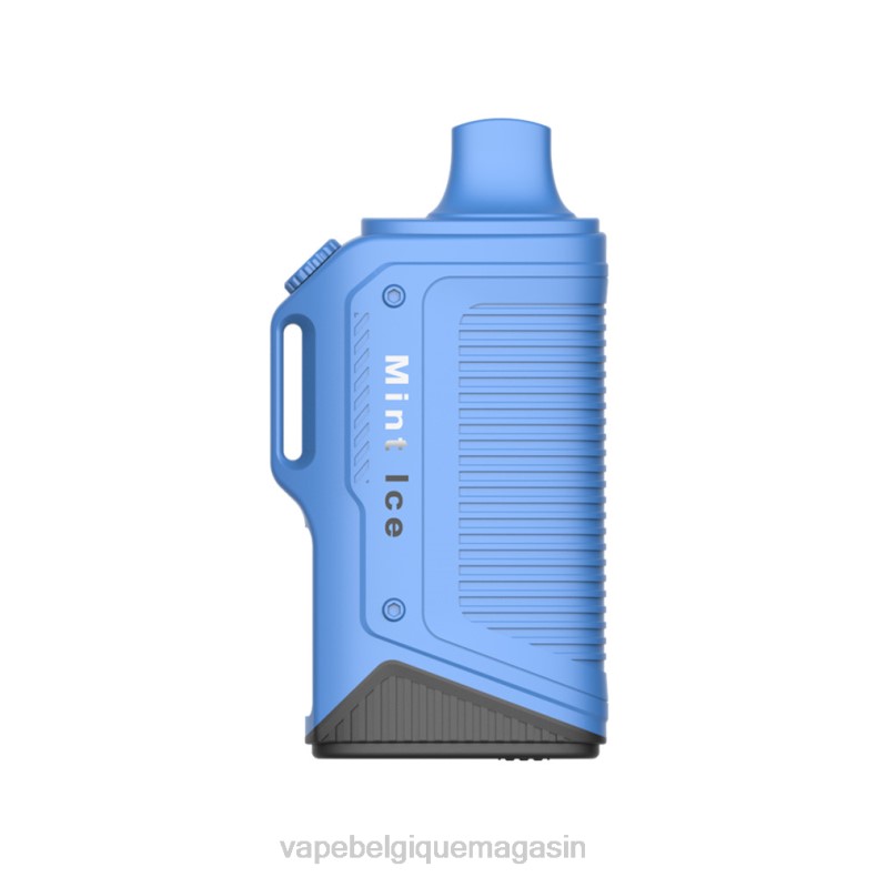 Vape Shop Bruxelles - LAVIE Energy Box 15000 bouffées glace à la menthe D2F272