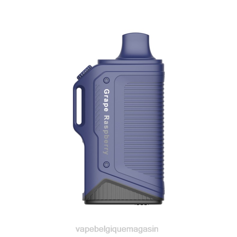 Vape Shop Bruxelles - LAVIE Energy Box 15000 bouffées raisin framboise D2F277