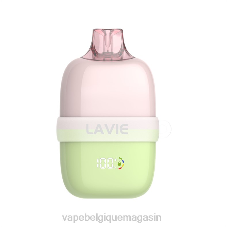 Vape Shop Bruxelles - LAVIE INSIDER 12000 bouffées glace aux raisins verts D2F287