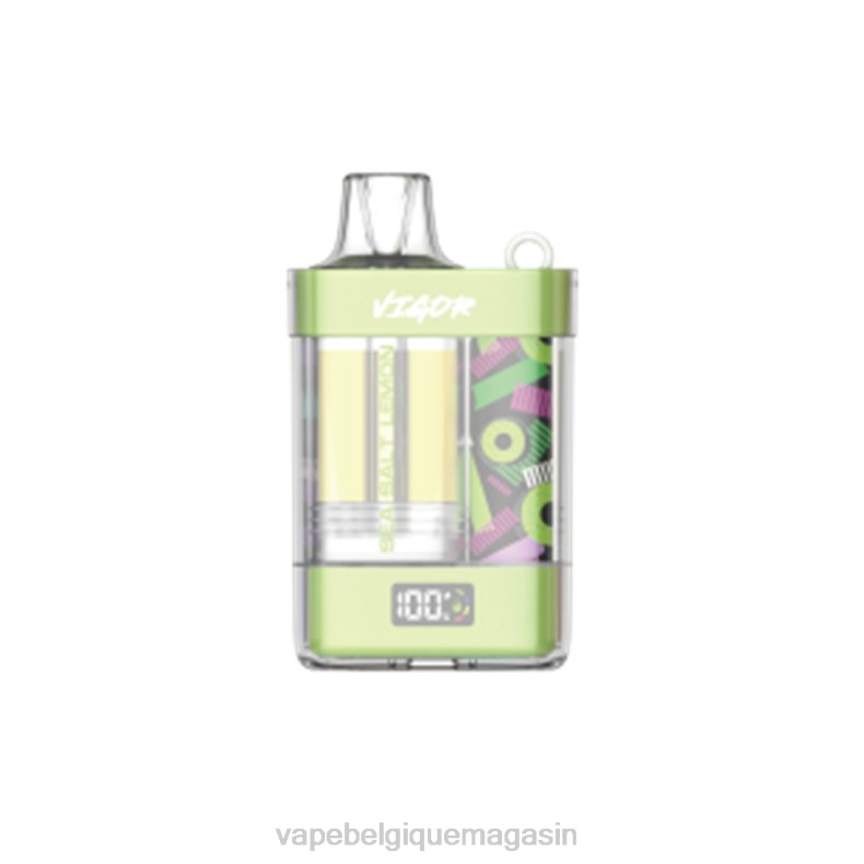 Vape Shop Bruxelles - LAVIE VIGOR 15000 bouffées citron au sel de mer D2F27