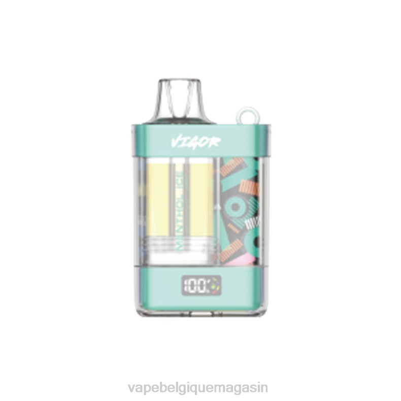 Vape Shop Bruxelles - LAVIE VIGOR 15000 bouffées glace mentholée D2F22